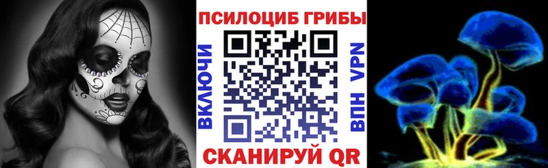 купить   Королёв  MEGA ссылка  Галлюциногенные грибы мухоморы 