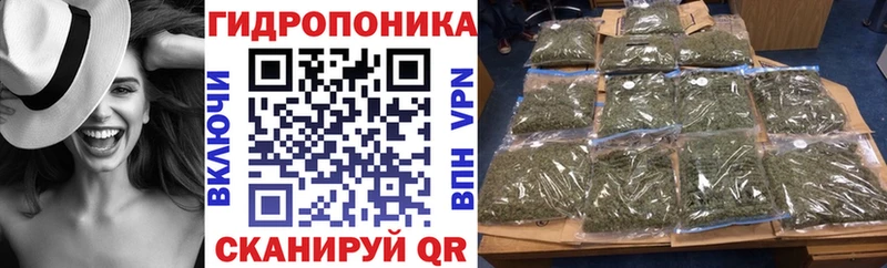 магазин продажи наркотиков  Королёв  Бошки марихуана VHQ 